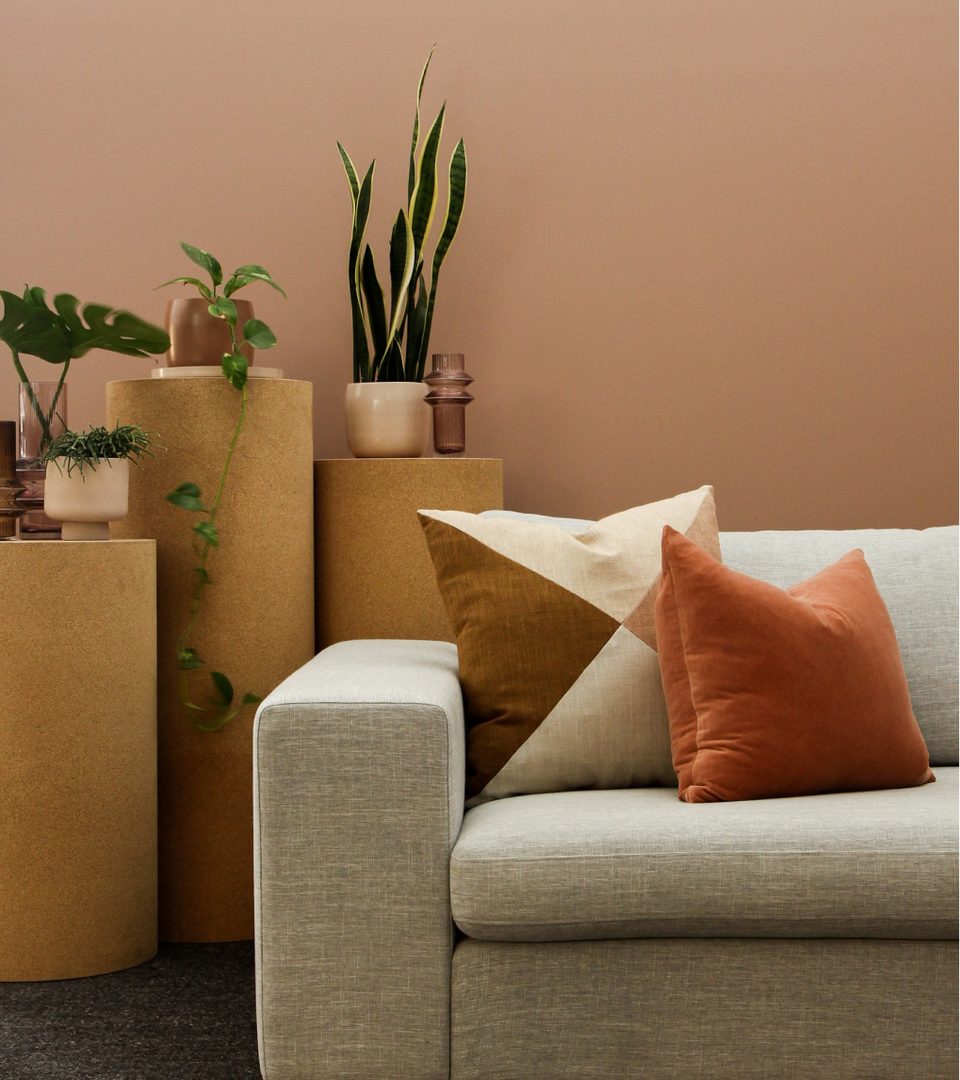 A tidy living room corner with a sofa, cushions and plants